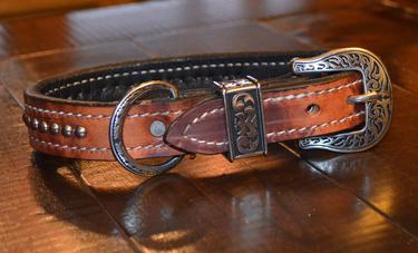 dog collars with stainless steel buckle and d